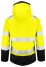 Projob 6449 Varseljacka Vinter Dam.