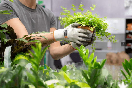 Granberg 108.0600 Montagehandskar latex.